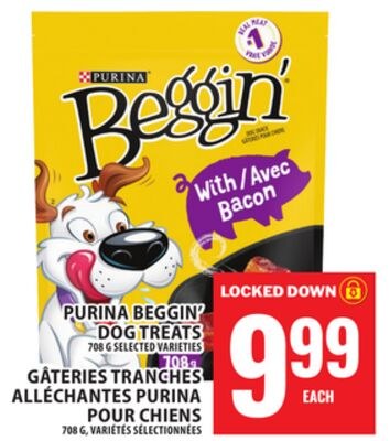 PURINA BEGGIN' DOG TREATS