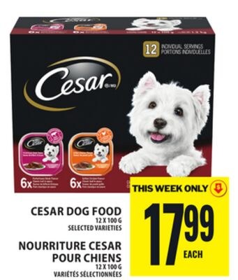 CESAR DOG FOOD