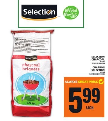 SELECTION CHARCOAL