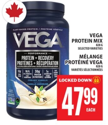 VEGA PROTEIN MIX