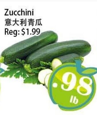 Zucchini