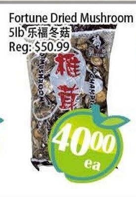 Fortune Dried Mushroom