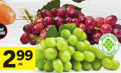 Extra Large Green or Red Seedless Grapes