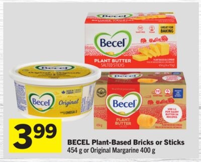 Plant-Based Bricks or Sticks