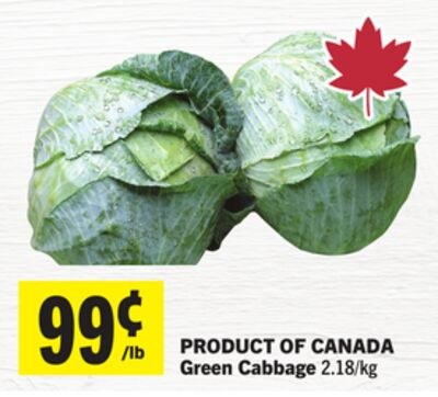 Green Cabbage