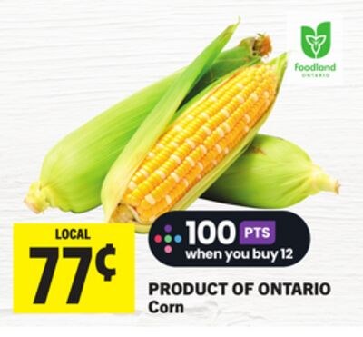 Corn