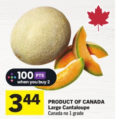 Large Cantaloupe