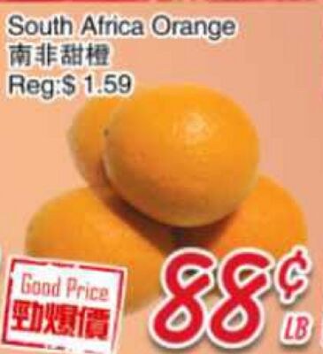 South Africa Orange