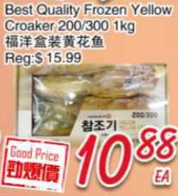 Best Quality Frozen Yellow Croaker 200/300 1kg