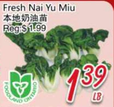 Fresh Nai Yu Miu