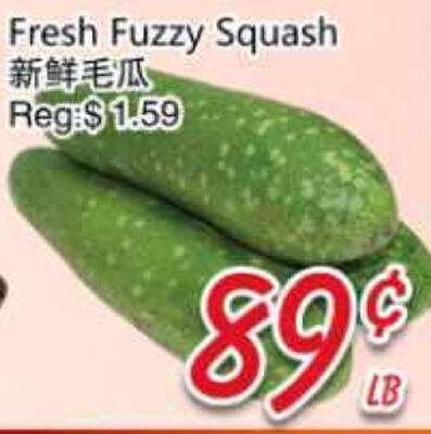 Fresh Fuzzy Squash