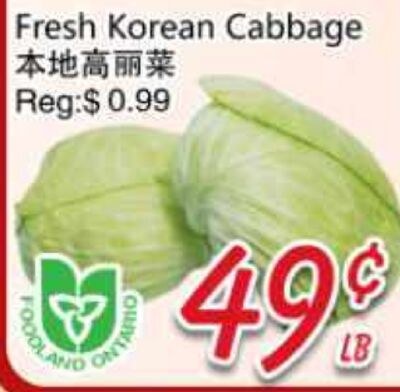 Fresh Korean Cabbage