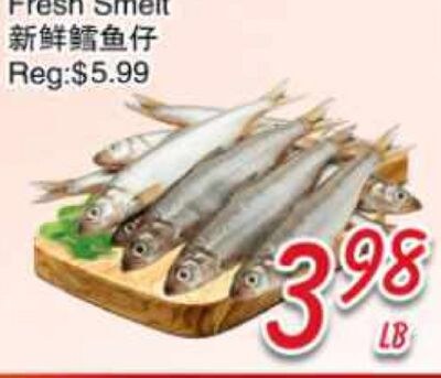 Fresh Smelt