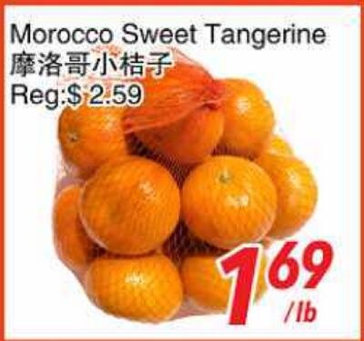 Morocco Sweet Tangerine