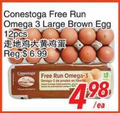 Conestoga Free Run Omega 3 Large Brown Egg