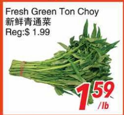 Fresh Green Ton Choy