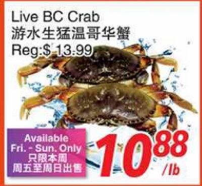 Live BC Crab