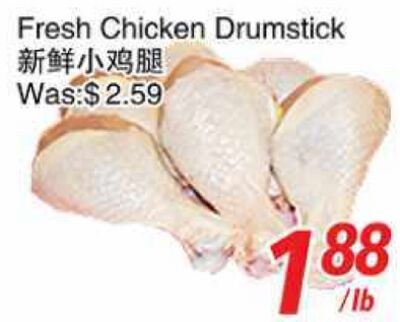 Fresh Chicken Drumstick