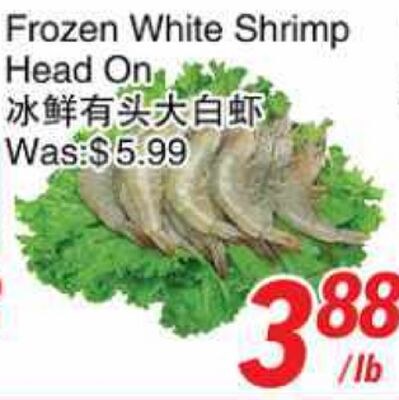 Frozen White Shrimp Head On