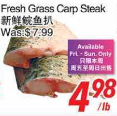 Fresh Grass Carp Steak