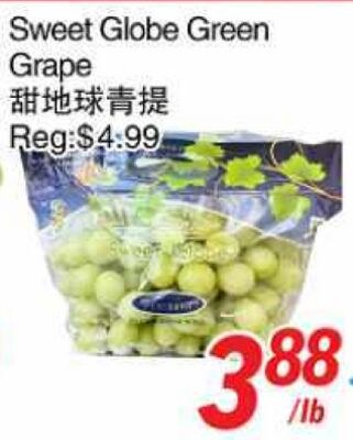 Sweet Globe Green Grape