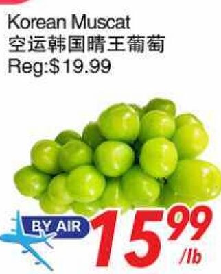 Korean Muscat