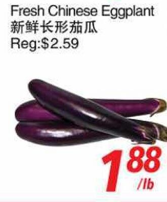 Fresh Chinese Eggplant