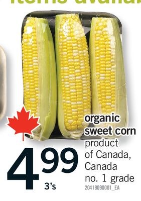 ORGANIC SWEET CORN, 3'S