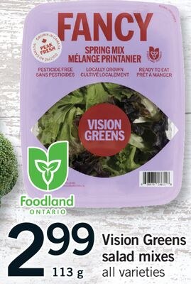 VISION GREENS SALAD MIXES, 113 G