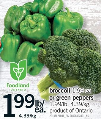 BROCCOLI OR GREEN PEPPERS