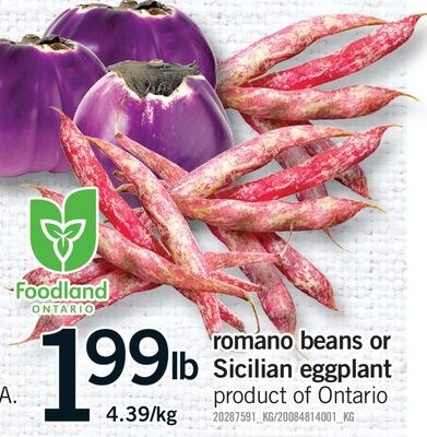 ROMANO BEANS OR SICILIAN EGGPLANT