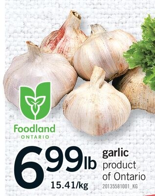 GARLIC