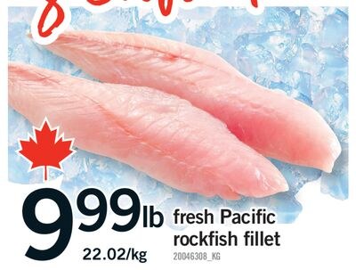 FRESH PACIFIC ROCKFISH FILLET