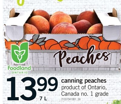 CANNING PEACHES, 7 L