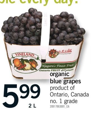 ORGANIC BLUE GRAPES, 2 L