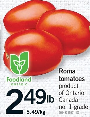 ROMA TOMATOES