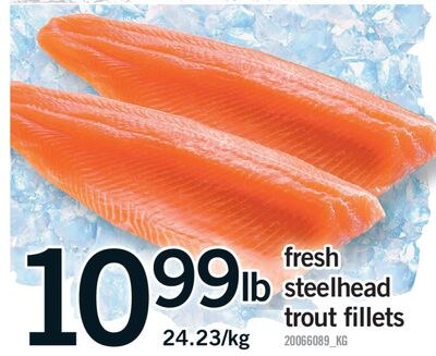 FRESH STEELHEAD TROUT FILLETS