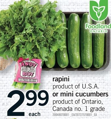 RAPINI OR MINI CUCUMBERS
