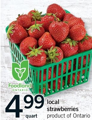 LOCAL STRAWBERRIES, QUART