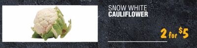 SNOW WHITE CAULIFLOWER