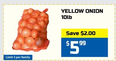 YELLOW ONION