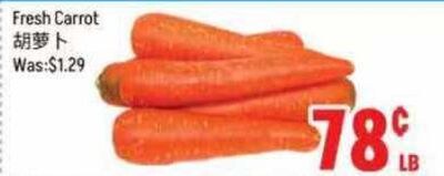 Fresh Carrot