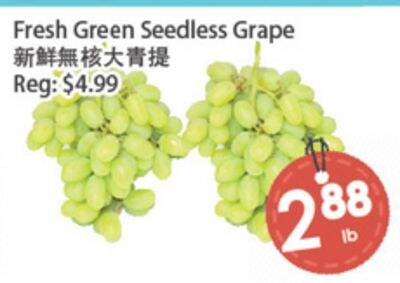 Fresh Green Seedless Grape