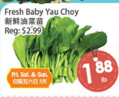 Fresh Baby Yau Choy