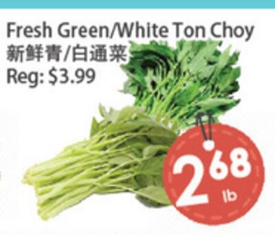 Fresh Green/White Ton Choy