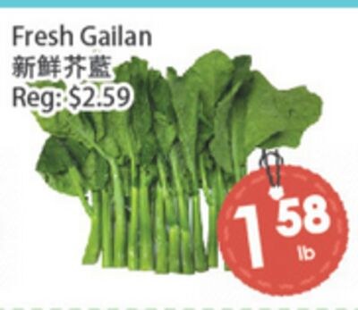 Fresh Gailan
