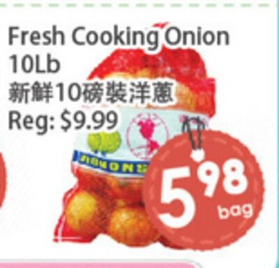 Fresh Cooking Onion
