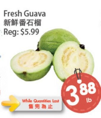 Fresh Guava