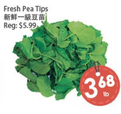 Fresh Pea Tips