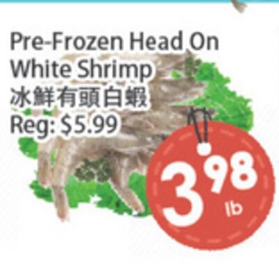 Pre-Frozen Head On White Shrimp